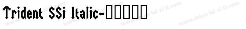 Trident SSi Italic字体转换